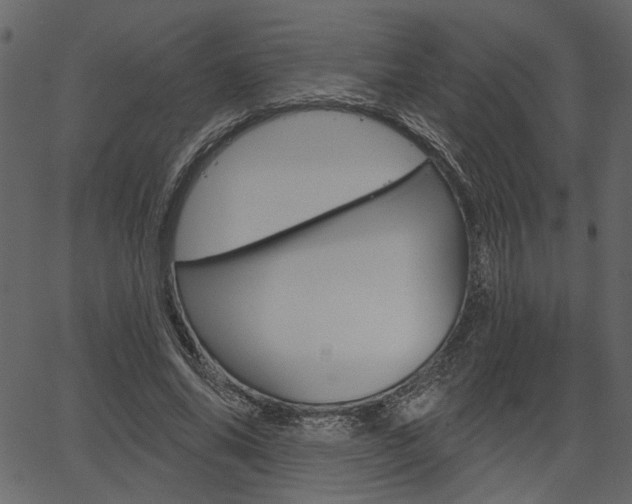 X0000067390686200603310956