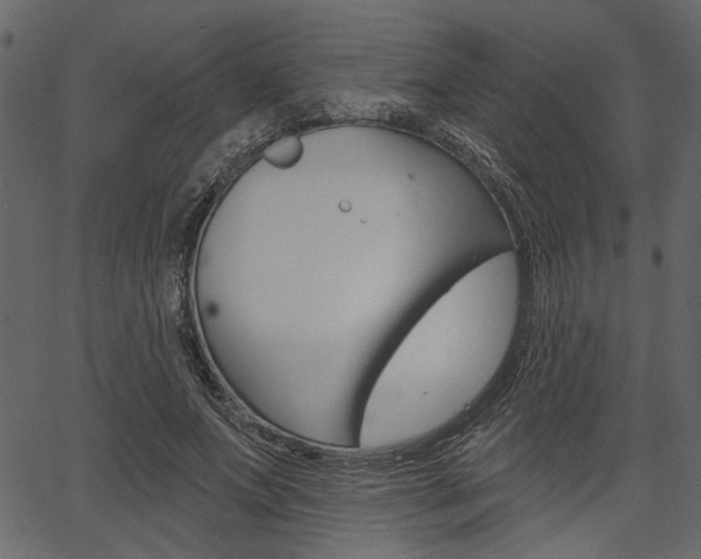 X0000067390687200603310956