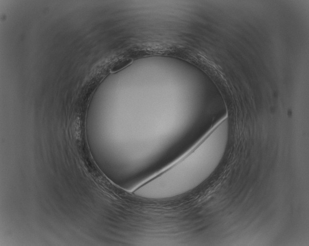 X0000067390689200603310956