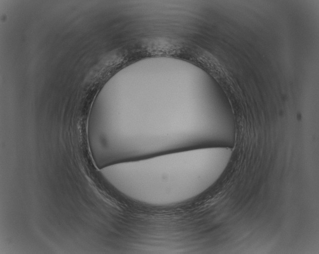 X0000067390690200603310956