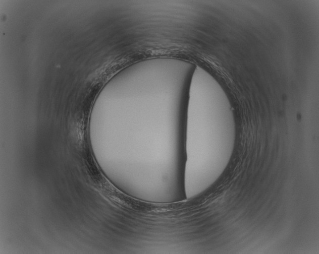 X0000067390691200603310956