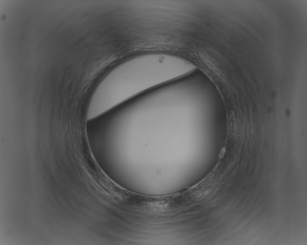 X0000067390692200603310956