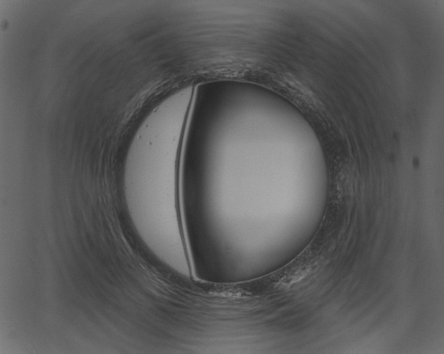 X0000067390693200603310956