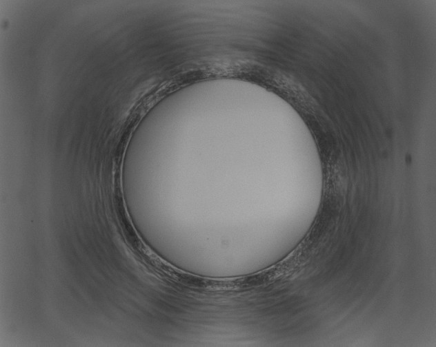 X0000067390694200603310956