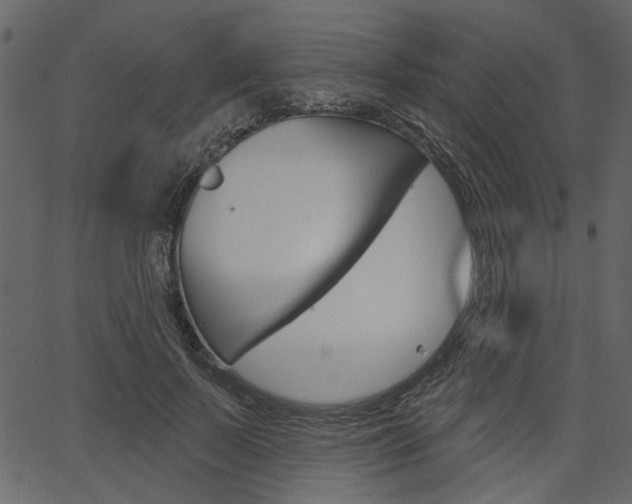 X0000067390695200603310956