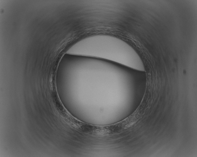 X0000067390696200603310956