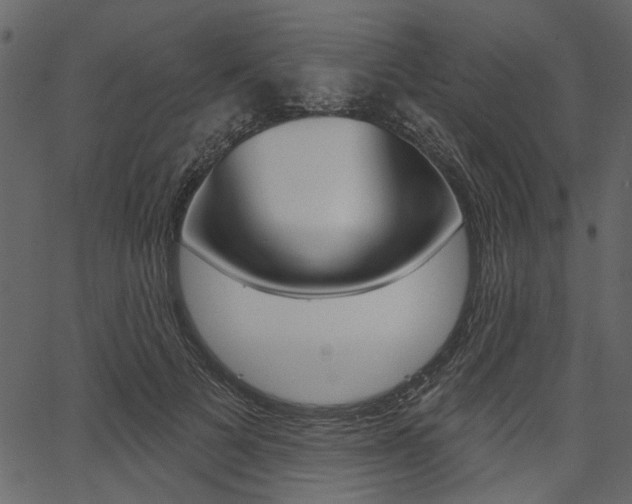 X0000067390697200603310956