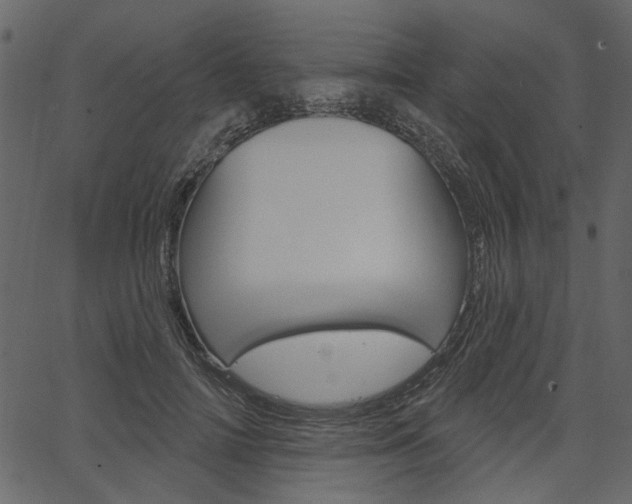 X0000067390698200603310956