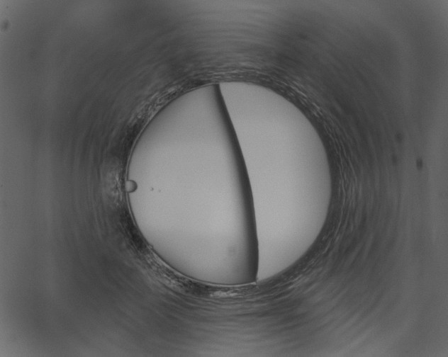 X0000067390699200603310956