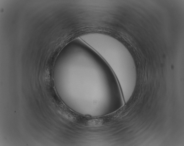 X0000067390700200603310956