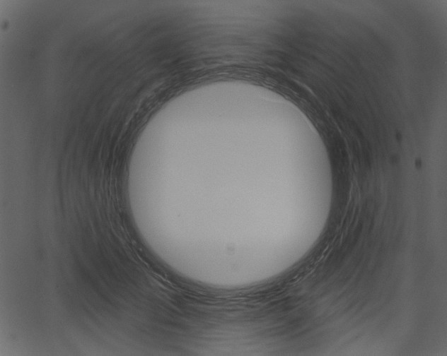 X0000067390701200603310956