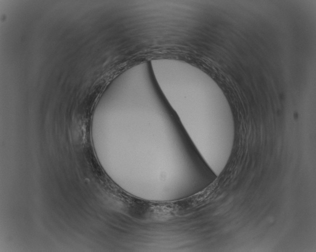 X0000067390703200603310956