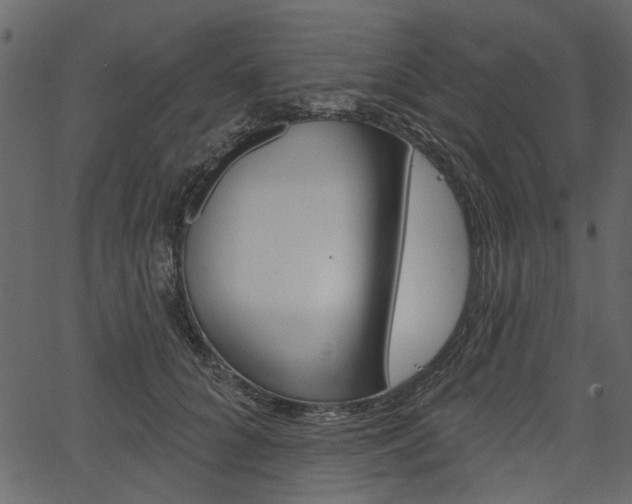 X0000067390704200603310956