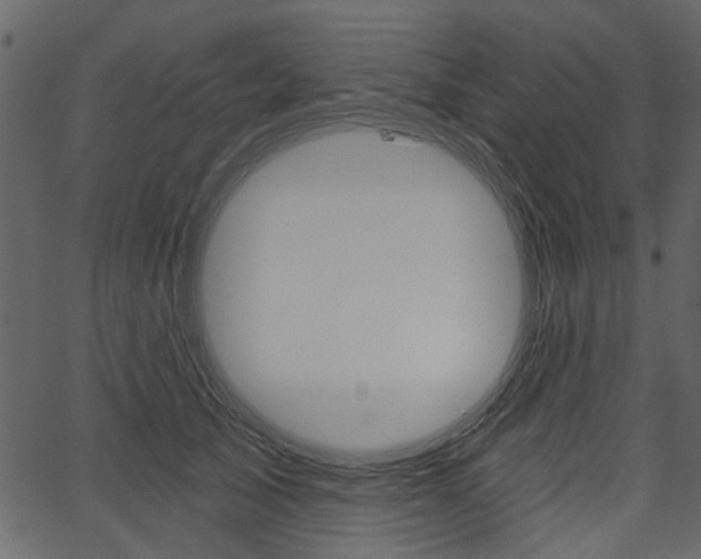 X0000067390705200603310956