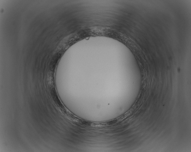 X0000067390706200603310955