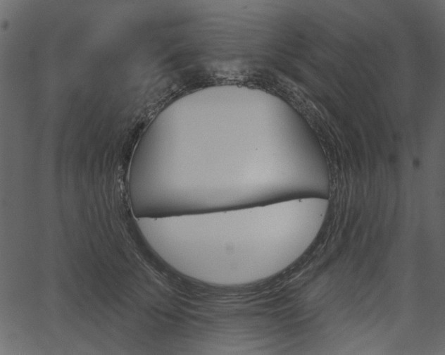 X0000067390707200603310955