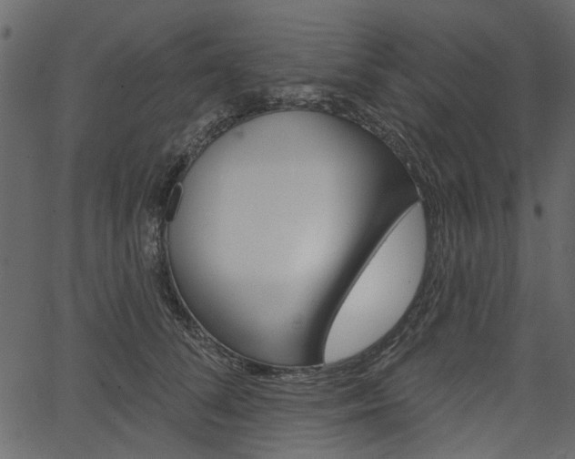 X0000067390708200603310955