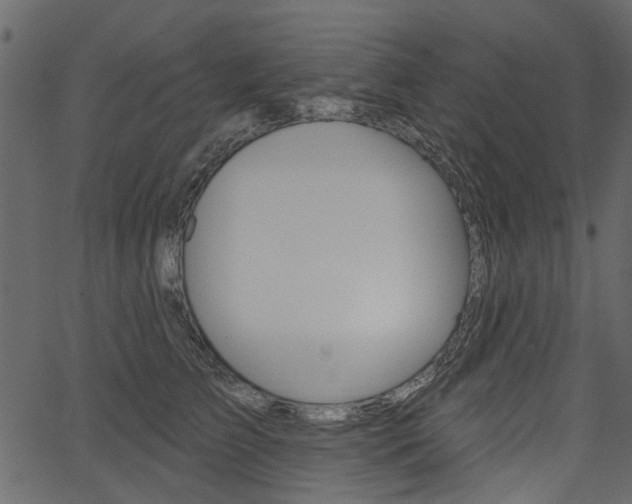 X0000067390709200603310955