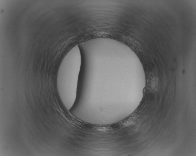 X0000067390710200603310955