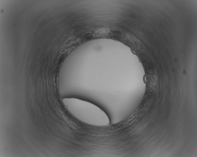 X0000067390711200603310955