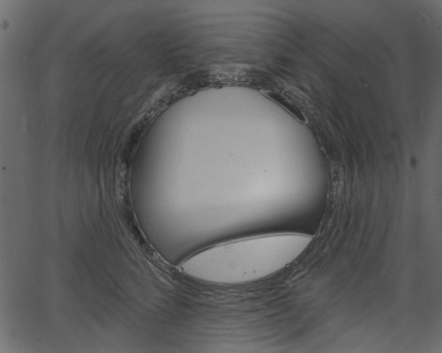 X0000067390712200603310955