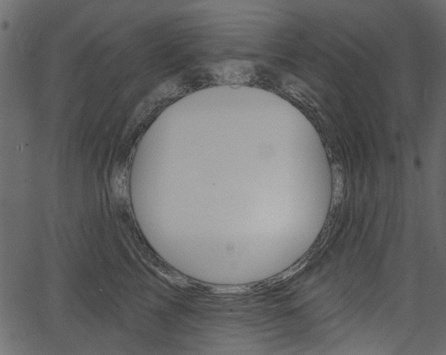 X0000067390713200603310955