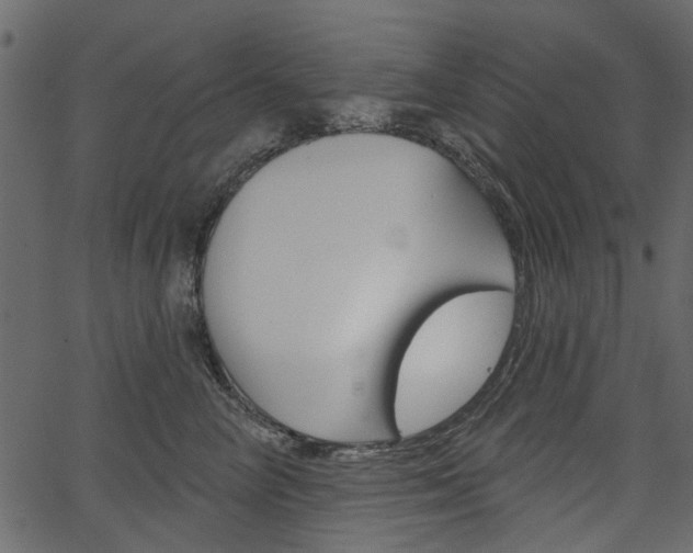 X0000067390714200603310955