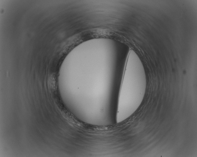 X0000067390715200603310955