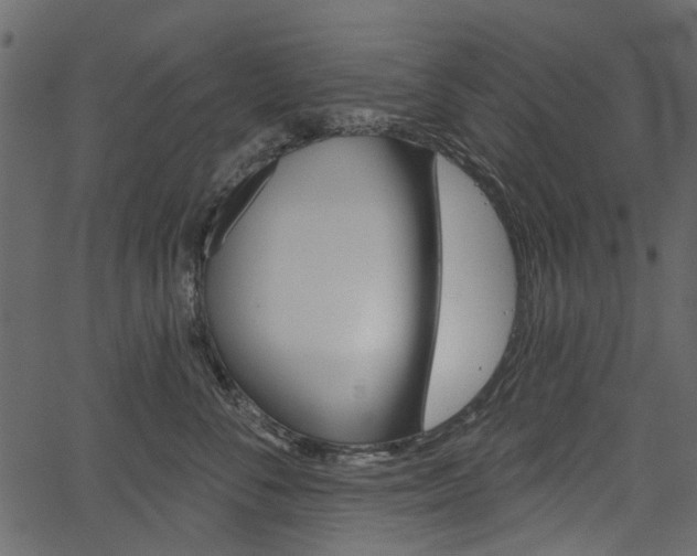 X0000067390716200603310955