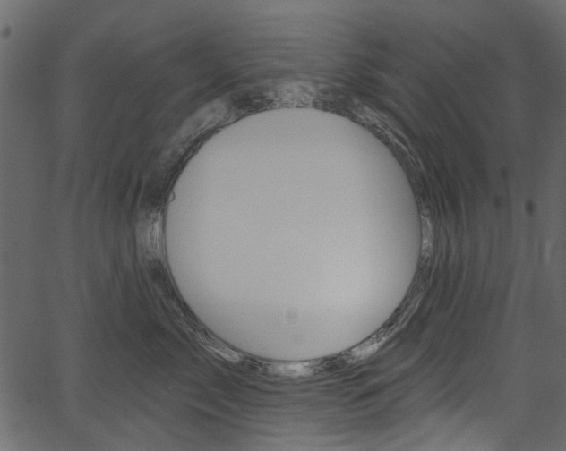 X0000067390717200603310955