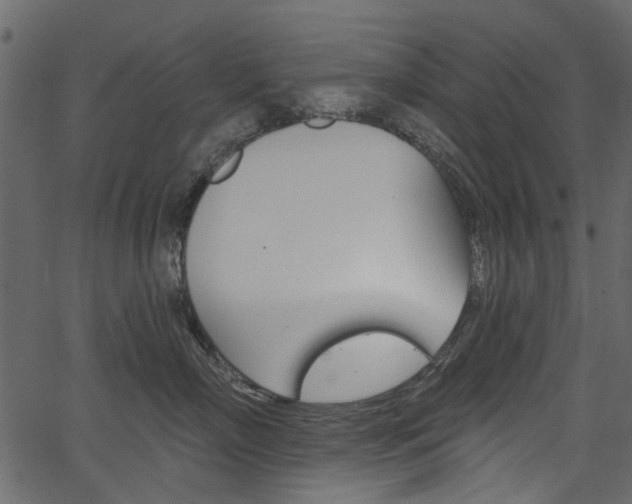 X0000067390718200603310955