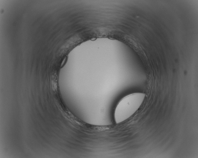 X0000067390719200603310955