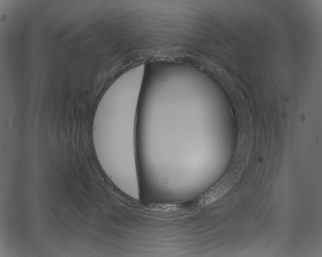 X0000067390720200603310955