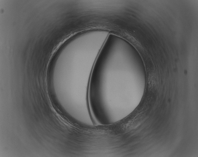 X0000067390722200603310954