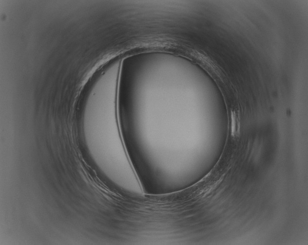 X0000067390723200603310955