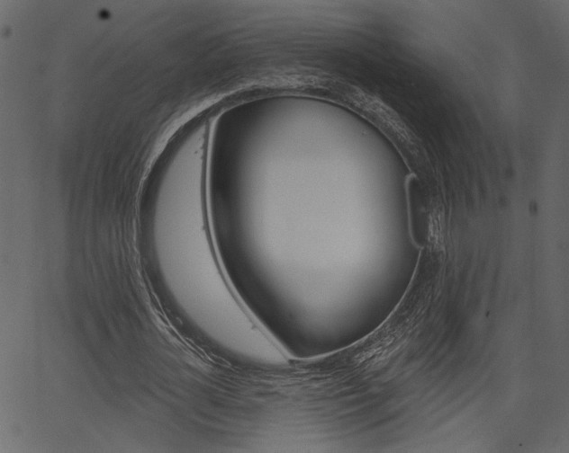 X0000067390724200603310955