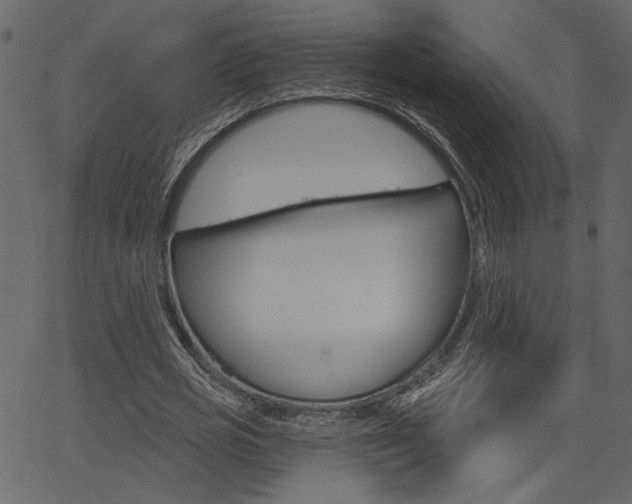 X0000067390725200603310955