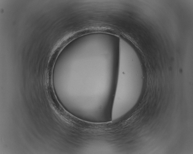 X0000067390726200603310955