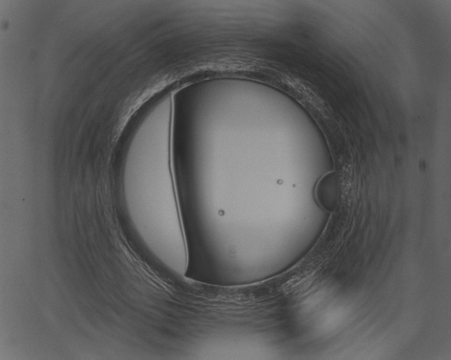 X0000067390727200603310955