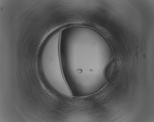 X0000067390728200603310955