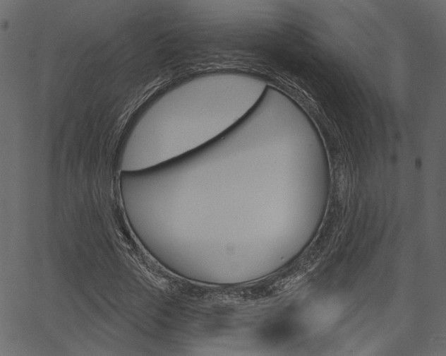 X0000067390729200603310955