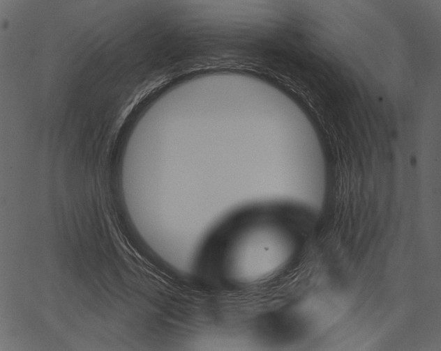 X0000067390731200603310955