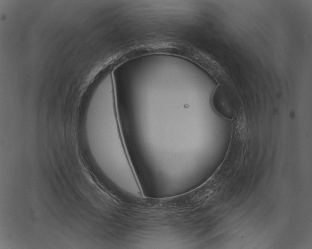 X0000067390732200603310955