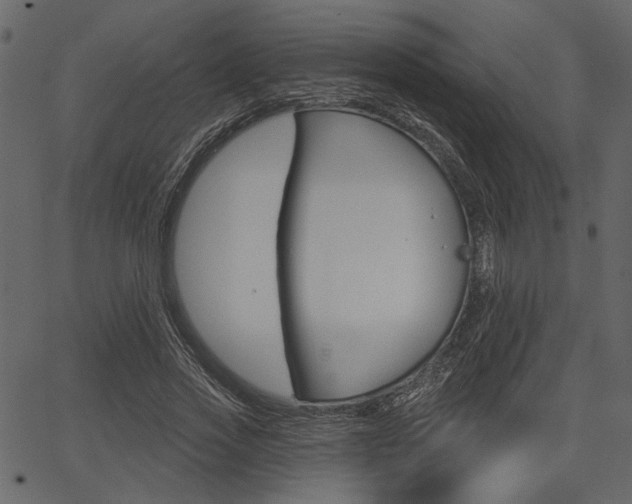 X0000067390733200603310955