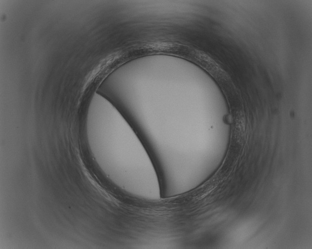 X0000067390734200603310955