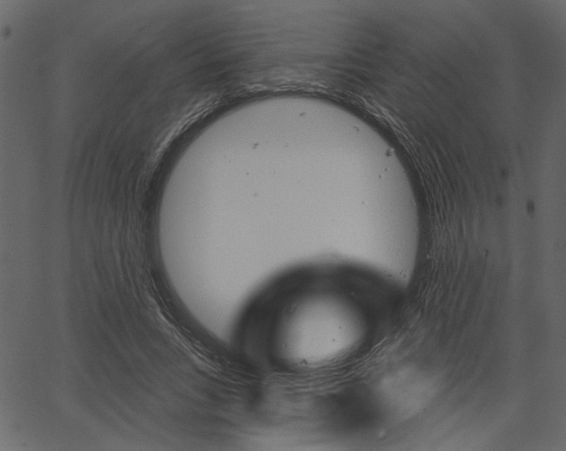 X0000067390735200603310955