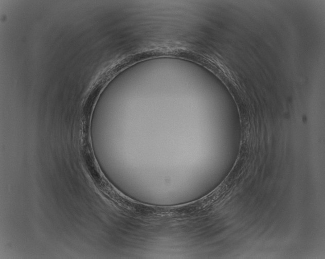 X0000067390736200603310955