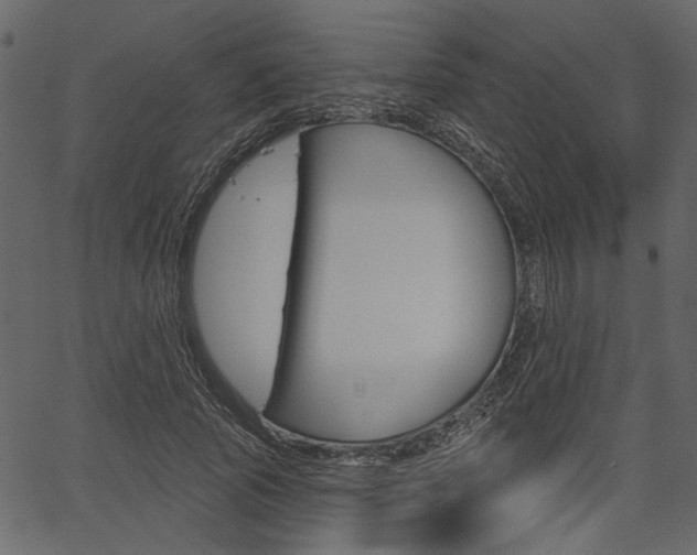 X0000067390737200603310955