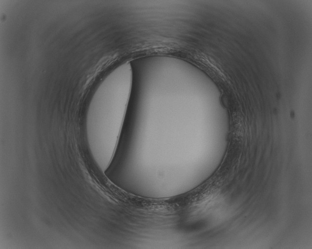 X0000067390738200603310955