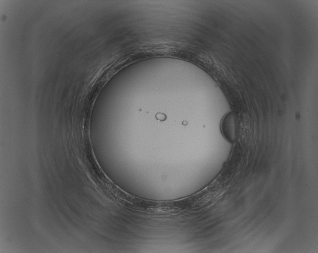 X0000067390739200603310955